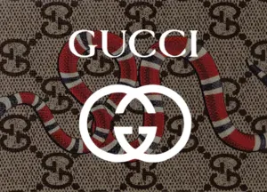 Bolsas Gucci