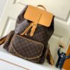 Louis Vuitton Presbyopia Leather Bag