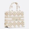 Dior Small Book Tote Bag in White and Gold Macrocannage Embroidery