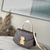 Louis Vuitton Presbyopia Handbag